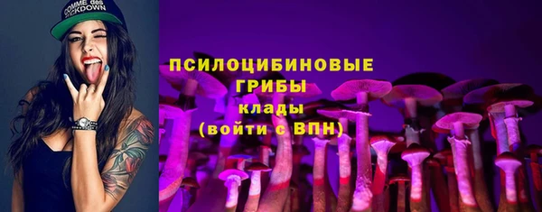 бошки Шали