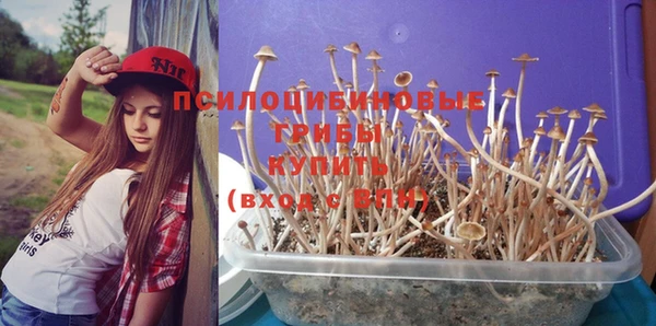 прущие крисы Шарыпово