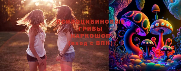 spice Шадринск