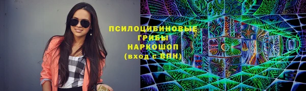 spice Шадринск