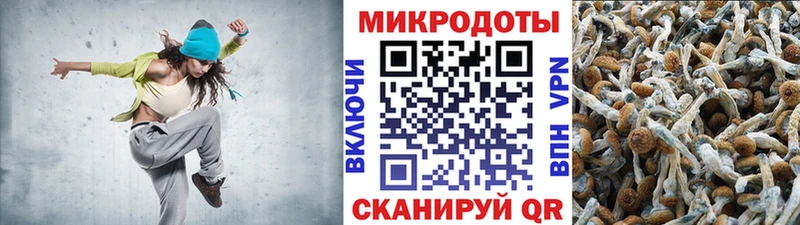 Купить  Нефтеюганск  Псилоцибиновые грибы Magic Shrooms 